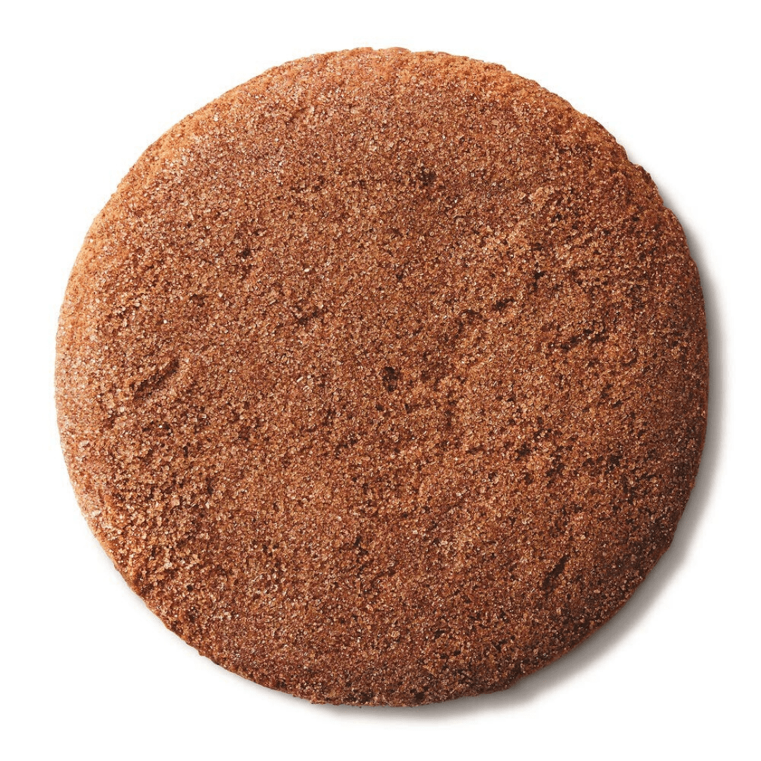 Lenny & Larry's The Complete Cookie Snickerdoodle | Biscotto Vegano Proteico 113g