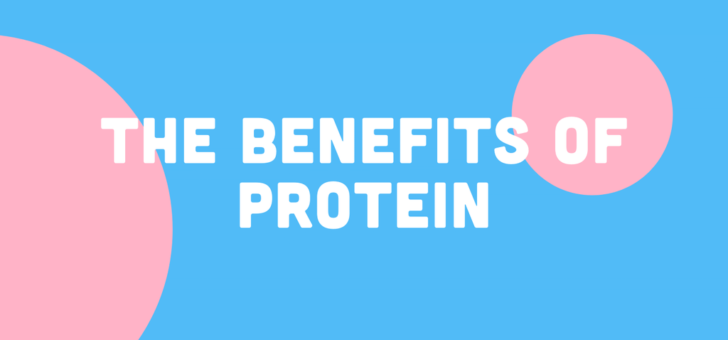 The main benefits of a high-protein intake and healthy diet